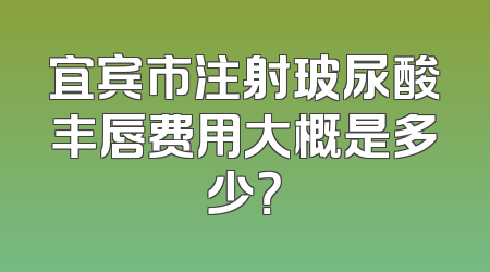 宜宾市注射玻尿酸丰唇费用大概是多少？