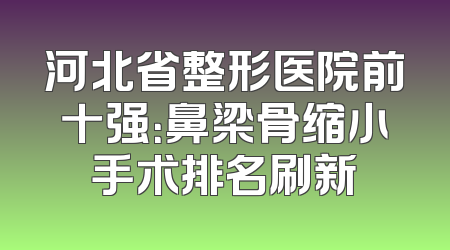河北省整形医院前十强：鼻梁骨缩小手术排名刷新