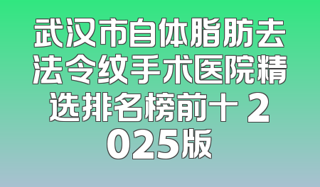 武汉市自体脂肪去法令纹手术医院精选排名榜前十 2025版
