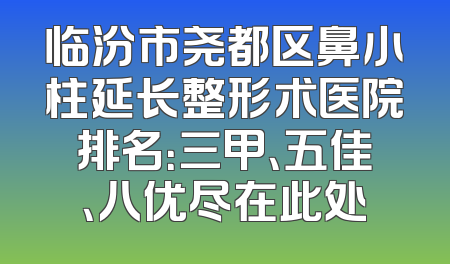 临汾市尧都区鼻小柱延长整形术医院排名：三甲、五佳、八优尽在此处