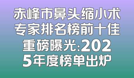 赤峰市鼻头缩小术专家排名榜前十佳重磅曝光：2025年度榜单出炉