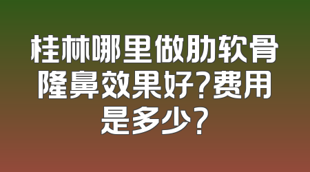 桂林哪里做肋软骨隆鼻效果好？费用是多少？