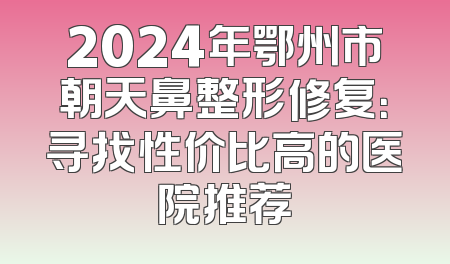 2024年鄂州市朝天鼻整形修复：寻找性价比高的医院推荐