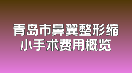 青岛市鼻翼整形缩小手术费用概览