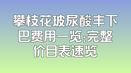 攀枝花玻尿酸丰下巴费用一览：完整价目表速览
