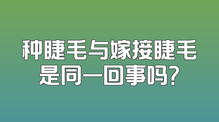 种睫毛与嫁接睫毛是同一回事吗？