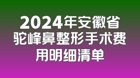 2024年安徽省驼峰鼻整形手术费用明细清单