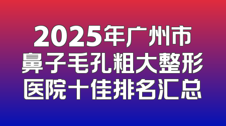 2025年广州市鼻子毛孔粗大整形医院十佳排名汇总