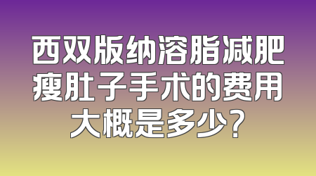 西双版纳溶脂减肥瘦肚子手术的费用大概是多少？
