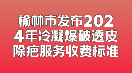 榆林市发布2024年冷凝爆破透皮除疤服务收费标准