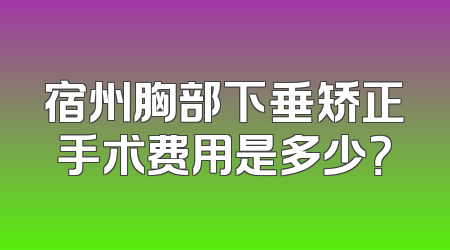 宿州胸部下垂矫正手术费用是多少？