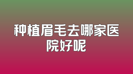 种植眉毛去哪家医院好呢
