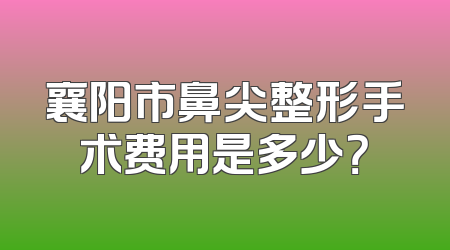 襄阳市鼻尖整形手术费用是多少？