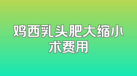 鸡西乳头肥大缩小术费用