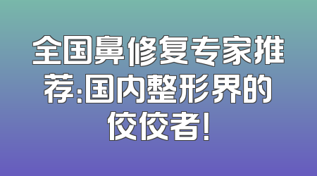 全国鼻修复专家推荐：国内整形界的佼佼者！