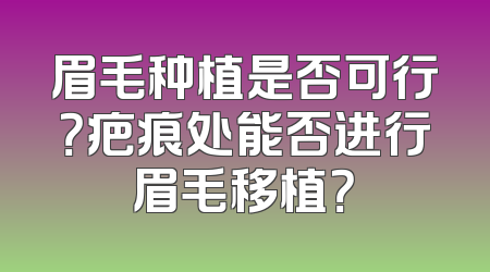 眉毛种植是否可行？疤痕处能否进行眉毛移植？