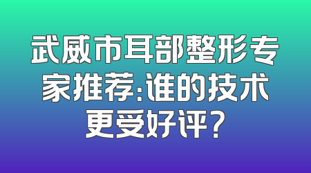 武威市耳部整形专家推荐：谁的技术更受好评？