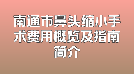 南通市鼻头缩小手术费用概览及指南简介