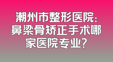 潮州市整形医院：鼻梁骨矫正手术哪家医院专业？