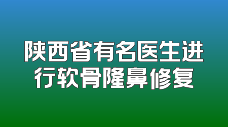 陕西省有名医生进行软骨隆鼻修复
