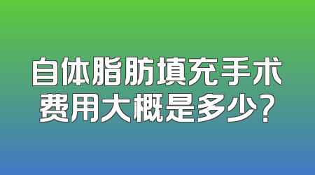 自体脂肪填充手术费用大概是多少？