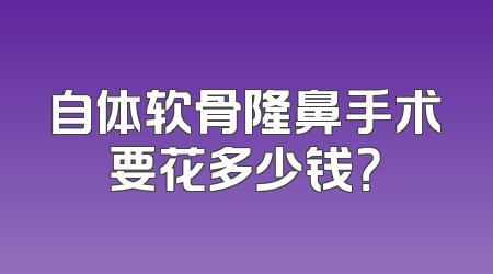自体软骨隆鼻手术要花多少钱？