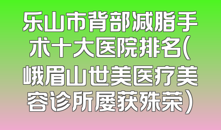 乐山市背部减脂手术十大医院排名（峨眉山世美医疗美容诊所屡获殊荣）