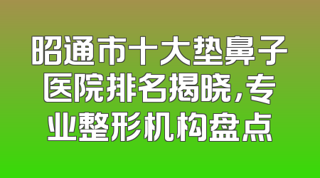 昭通市十大垫鼻子医院排名揭晓，专业整形机构盘点
