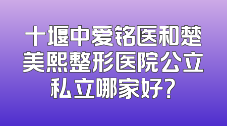 十堰中爱铭医和楚美熙整形医院公立私立哪家好？