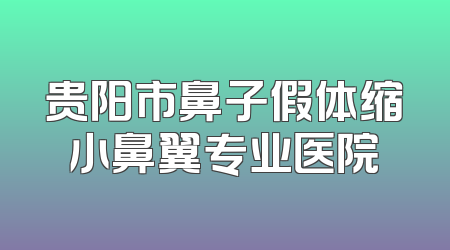 贵阳市鼻子假体缩小鼻翼专业医院