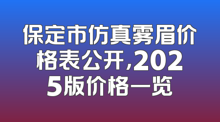 保定市仿真雾眉价格表公开，2025版价格一览