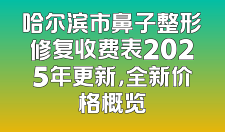 哈尔滨市鼻子整形修复收费表2025年更新，全新价格概览