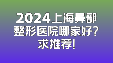 2024上海鼻部整形医院哪家好？求推荐！