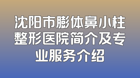 沈阳市膨体鼻小柱整形医院简介及专业服务介绍
