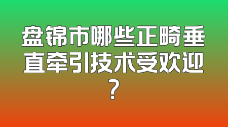 盘锦市哪些正畸垂直牵引技术受欢迎？
