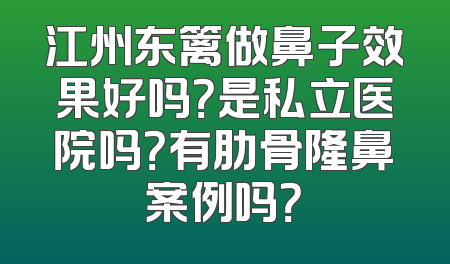 江州东篱做鼻子效果好吗？是私立医院吗？有肋骨隆鼻案例吗？
