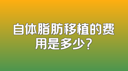 自体脂肪移植的费用是多少？