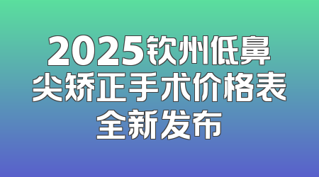 2025钦州低鼻尖矫正手术价格表全新发布