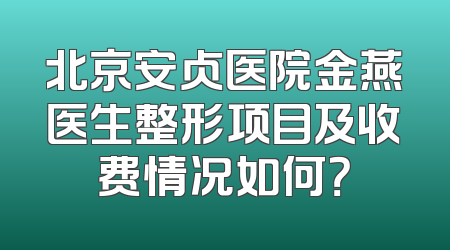 北京安贞医院金燕医生整形项目及收费情况如何？