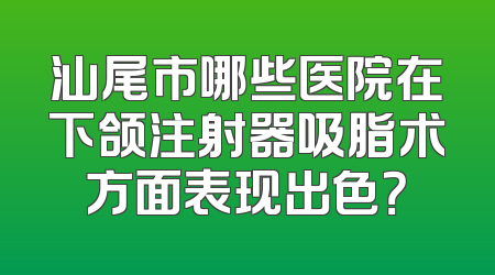 汕尾市哪些医院在下颌注射器吸脂术方面表现出色？
