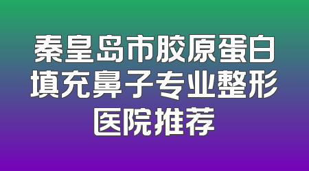 秦皇岛市胶原蛋白填充鼻子专业整形医院推荐