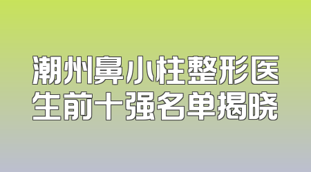 潮州鼻小柱整形医生前十强名单揭晓