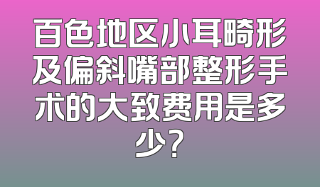 百色地区小耳畸形及偏斜嘴部整形手术的大致费用是多少？