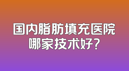国内脂肪填充医院哪家技术好？