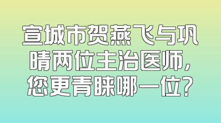 宣城市贺燕飞与巩晴两位主治医师，您更青睐哪一位？