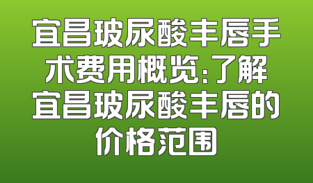 宜昌玻尿酸丰唇手术费用概览：了解宜昌玻尿酸丰唇的价格范围
