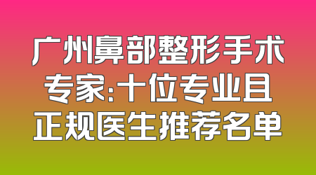 广州鼻部整形手术专家：十位专业且正规医生推荐名单