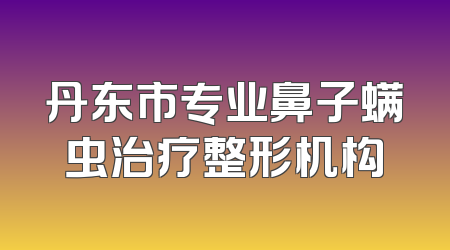 丹东市专业鼻子螨虫治疗整形机构