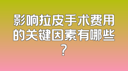 影响拉皮手术费用的关键因素有哪些？