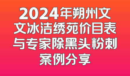2024年朔州文文冰洁绣苑价目表与专家除黑头粉刺案例分享